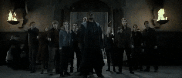 5.gif><br